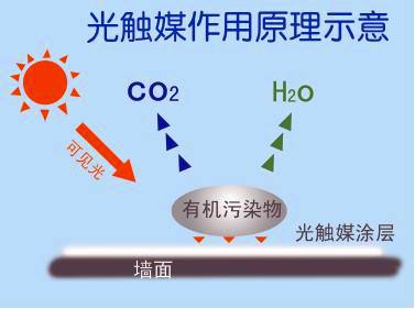 新房除甲醛需要注意哪些？都有哪些有效去除的方法？