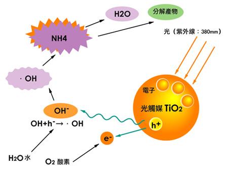 如何辨別劣質(zhì)光觸媒？